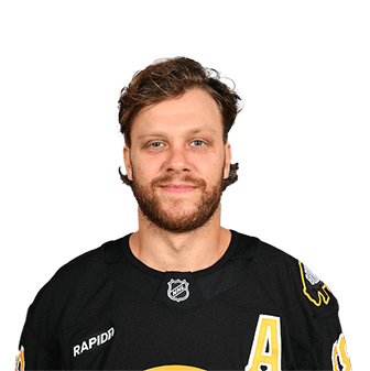 David Pastrnak headshot